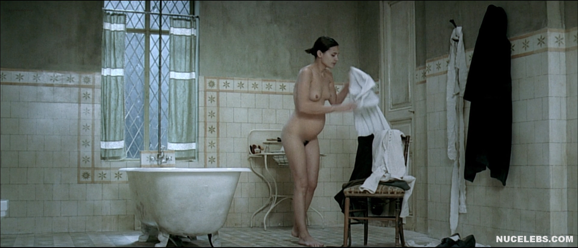Virginie Ledoyen naked. 