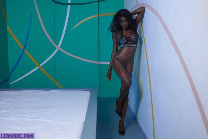 Mimi Desuka hermosa modelo negra desnuda 6